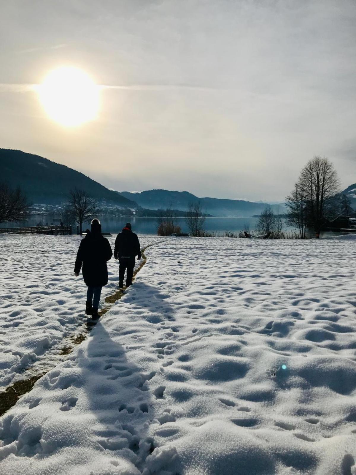 Ferienwohnung Resi Mit Traumhaftem Seepanorama Штайндорф-ам-Оссиахер-Зее Экстерьер фото