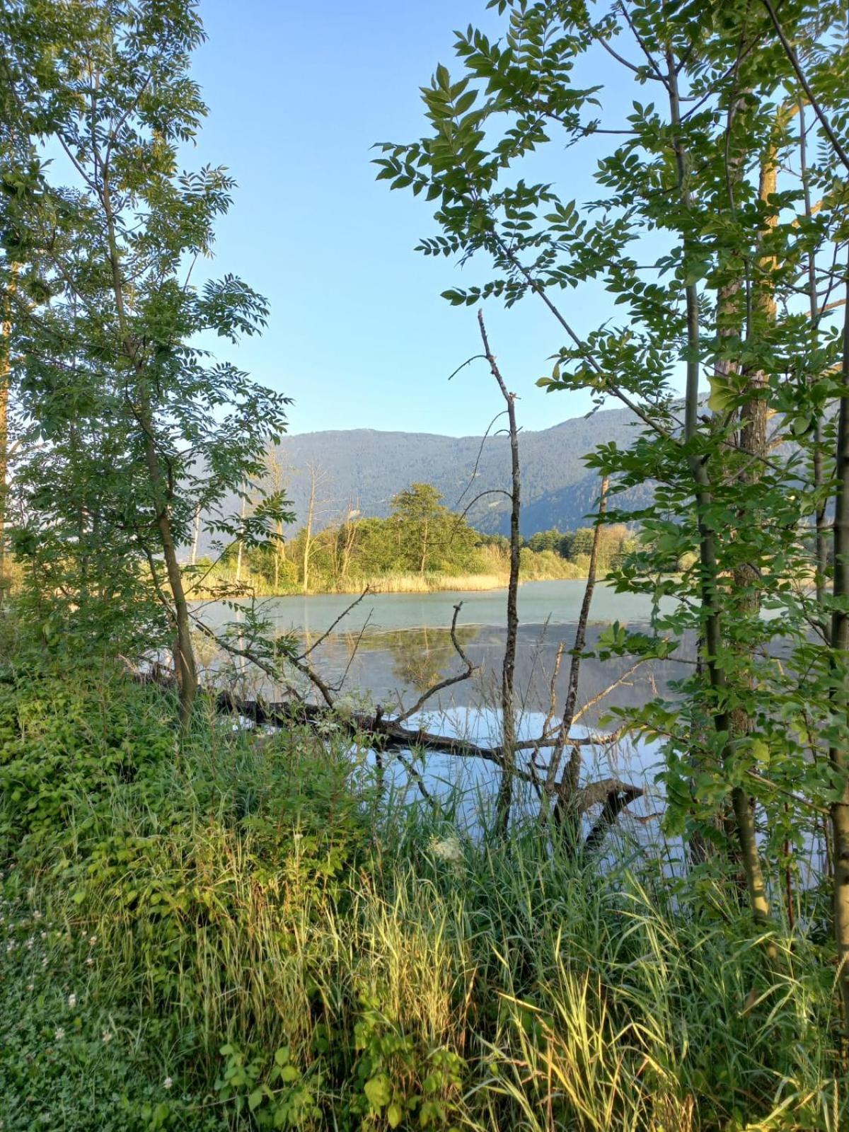 Ferienwohnung Resi Mit Traumhaftem Seepanorama Штайндорф-ам-Оссиахер-Зее Экстерьер фото