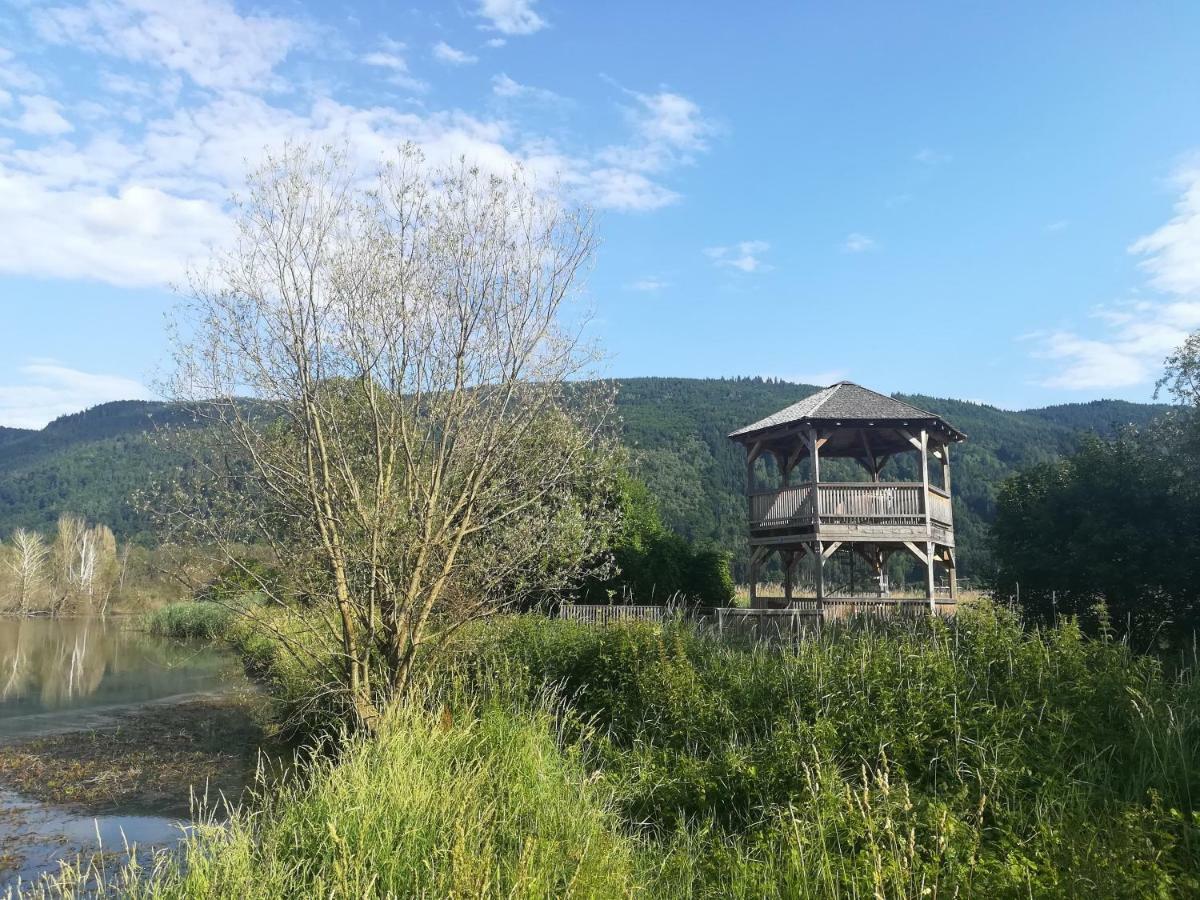 Ferienwohnung Resi Mit Traumhaftem Seepanorama Штайндорф-ам-Оссиахер-Зее Экстерьер фото