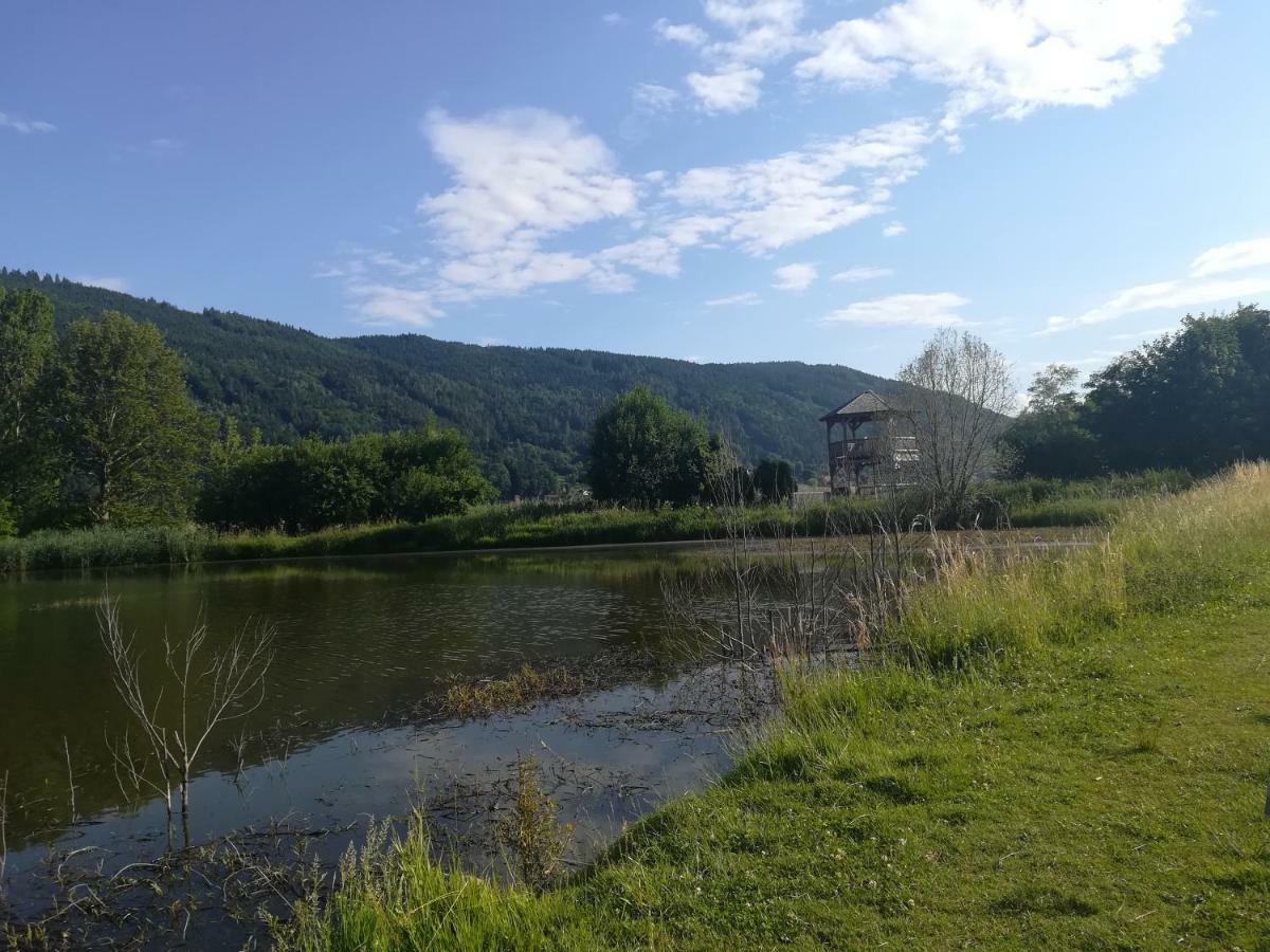 Ferienwohnung Resi Mit Traumhaftem Seepanorama Штайндорф-ам-Оссиахер-Зее Экстерьер фото